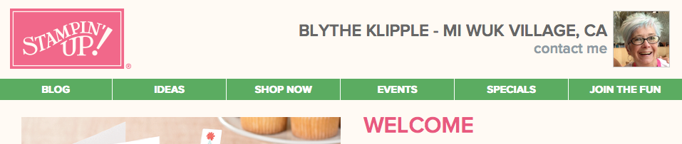 Blythe's online SU! Store picture