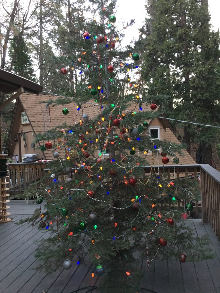 our Charlie Brown Christmas tree for 2017