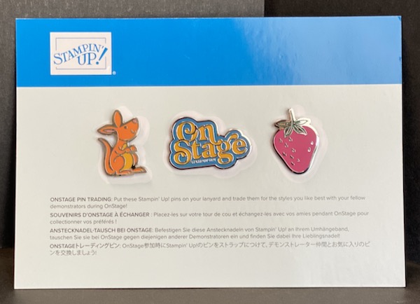 SU! On Stage Nov 5-7, 2020, swag box contents - our swapping pins